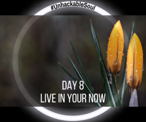 DAY 8: LIVE IN YOUR NOW